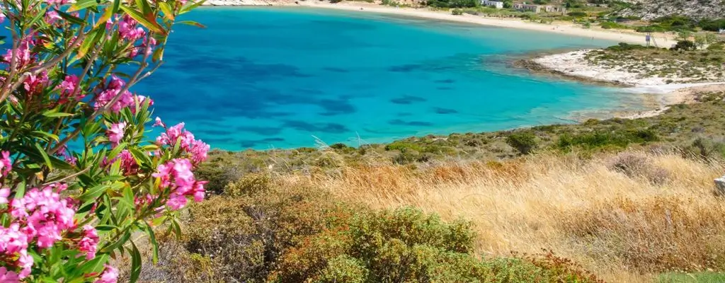 Ein ikonischer Blick von Psara