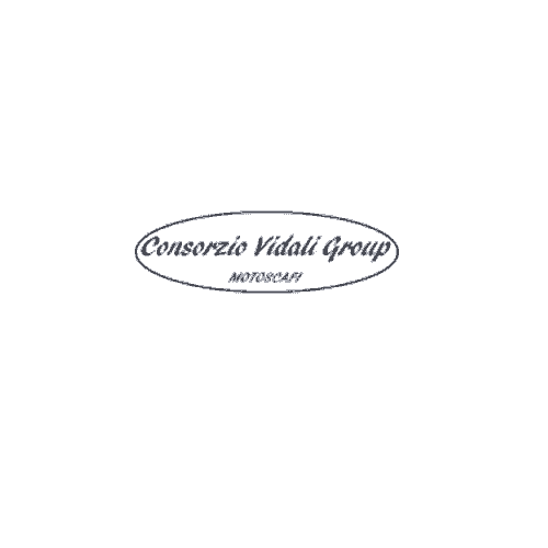 Consorzio Vidali Group